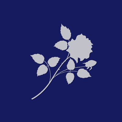 Flower Blue Square, par Xavier E. G. Dierick